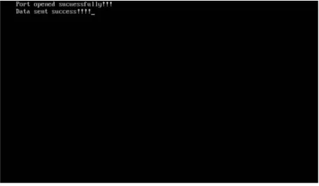 Fig. 2. Serial Port Detection And Data Transmission. 