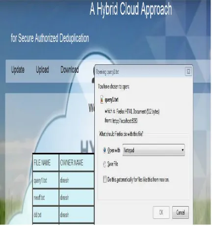 Fig 6.Files on public cloud  