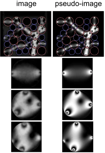 FIG. 12. Comparison of observed image (left) and pseudo-image (right) foran array of uniaxially compressed set of bidisperse disks