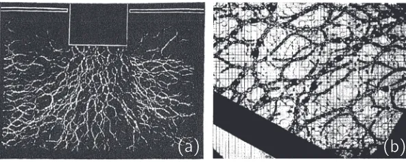 FIG. 2. A modern example of darkﬁeld photoelasticity; particles that appearbrighter and with more fringes are those experiencing large forces