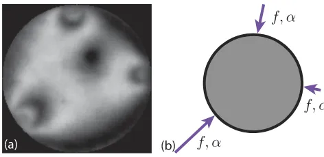 FIG. 5. (a) Sample darkﬁeld image illustrating thegradient-squared (G2) technique given by Eq