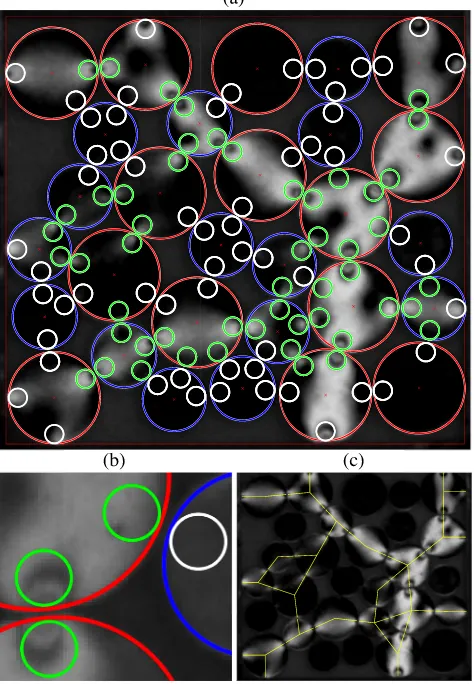 FIG. 11. ((a) and (b)) Sample image and detail showing particle-detection(large red/blue circles) and neighbor-detection (small circles)