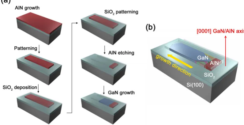 Figure 1 | Fabrication and concept of Evolutionary Selection Selective Area Growth. (a) processing steps for fabrication of SiO2 growth tunnels; (b)Schematics of the ES process in the growth tunnel: GaN microcrystals retain the (0001) texture of the AlN seed while randomly oriented in-plane.www.nature.com/