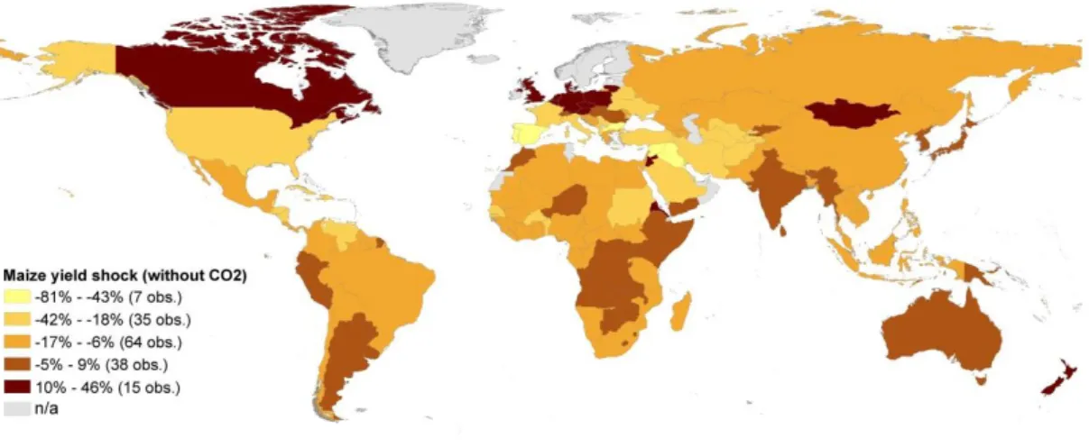 Figure 8. Biophysical grain maize yield shocks in the RCP8.5_noCO2 scenario 