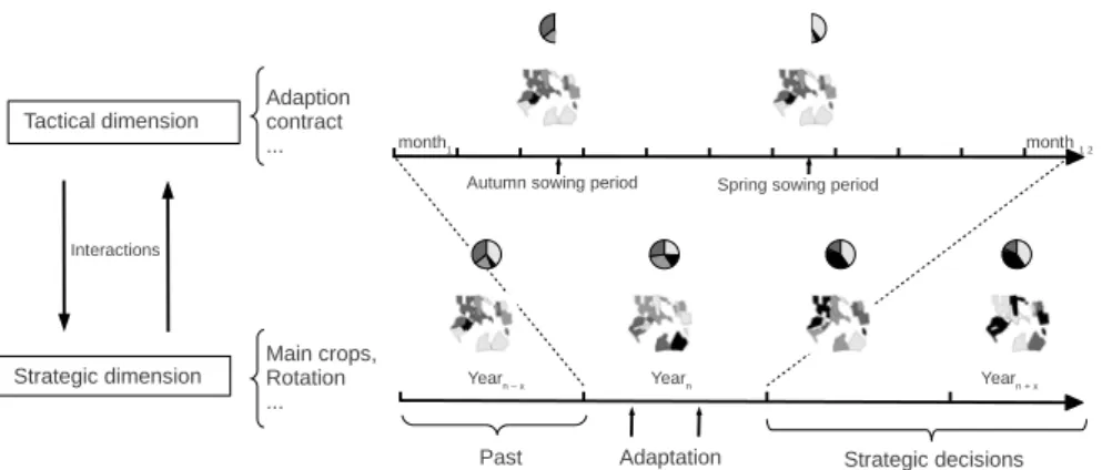 Figure 3.2: cropping-plan decision-making is a combination of planned ac- ac-tivities and dynamic decision-making for achieving a control over a dynamic system in order to produce a desired  out-put, rather than as an unique resolution of choice dilemma.