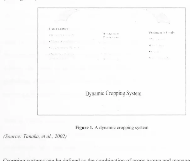Figure I. A dynamic cropping system