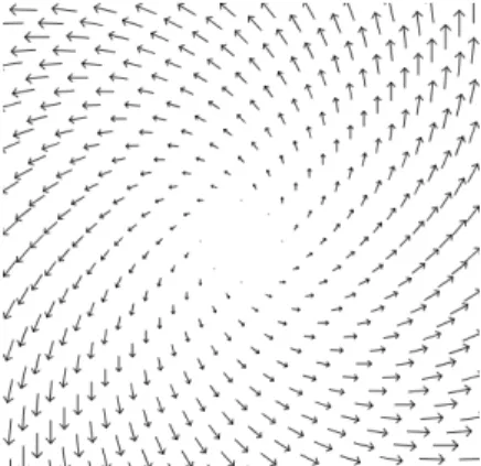 FIGURE 9 Example of Vector Field with arrows and with texture 