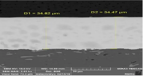 Fig. 2: FESEM micrographs of the Ni/Ag coatings morphology.  