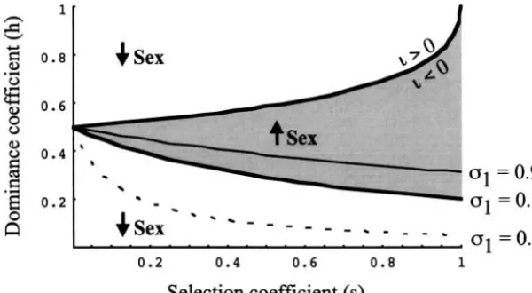 Figure 1.—Conditions under which a raremodiﬁer that changes the frequency of sex with-
