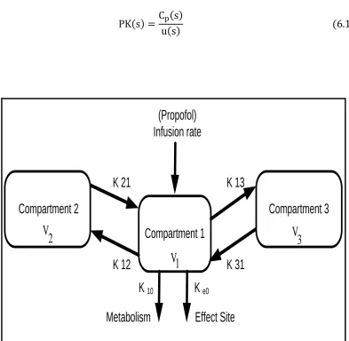 Figure 6.1: The pharmacokinetic model 