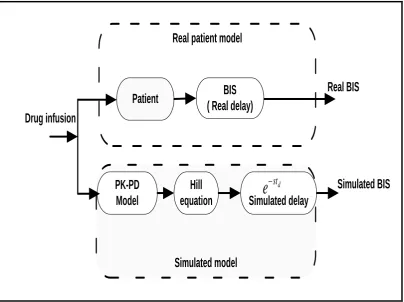 Figure 5.3: The representation of the real and simulated BIS 