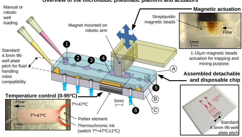 Figure 1 Overview of the microfluidic pneumatic platform and actuators