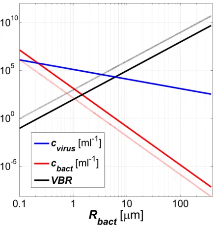 Figure 1.1. Scaling of the virus concentration, the bacterium concentration and the VBR with the radius of the bacterium for a single phage-host system