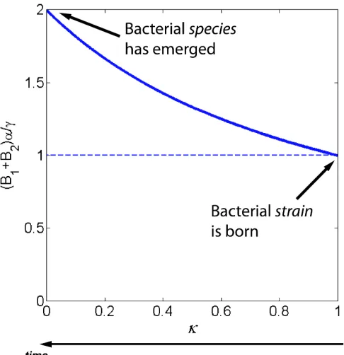 Figure 1.4. Total concentration “taken up” by the evolving bacterial strain and its parental strain