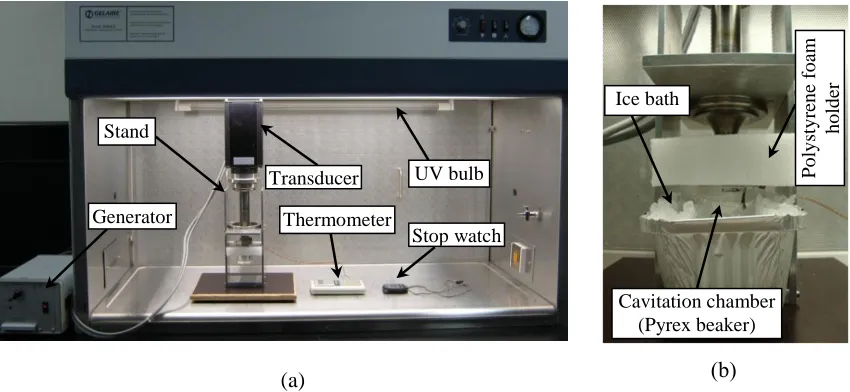 Figure 1. Sonication setup (a) the entire setup inside the laminar flow (b) enlarged view of the beaker immersed in the ice bath 