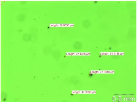 Figure 6.  The photos were analysed using AnalySIS software. It is shown in figure 6 that the number of the 22