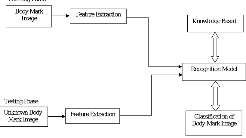 Figure 2: Block Diagram for identification and classification of body mark images 