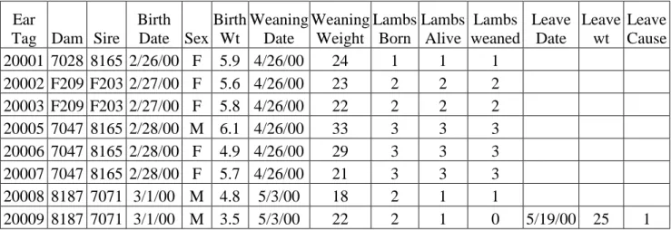 Table 4.  Example of flock record format for lamb information. 