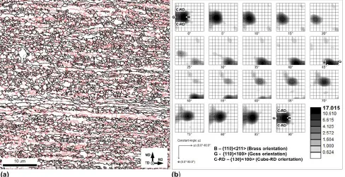 FIG. 2. Typical low-magnification images of specimens pulsed at (a) relatively high integral current (Kj ≥ 0.44 x 10 5 A2 s mm-4) and (b) 