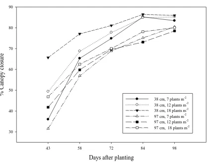 Figure 1.3. Interaction effects of row spacing and population on canopy closure. Data averaged over leaf morphology and environments