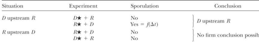 TABLE 3