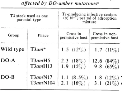 TABLE 7. Lack of heterologolas complementation between DO-amnber muiltanlits of T3 and T7, as m1easuired bythym idine intcorporationz in UV-irrtadiated Escherictia coli B,_l