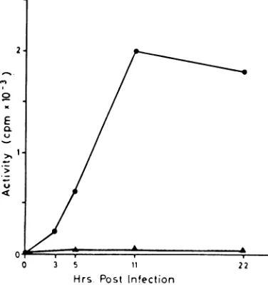 FIG. 2.infection.assayA,units Suppression ofdeoxyribonuclease induction in chick embryo fibroblasts by interferon, 5 and 22 hr post- Enzyme activities plotted against protein content of cell extracts