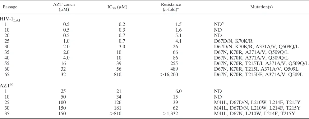 TABLE 1. Selection of AZT-resistant virus starting with wild-type HIV-1LAI or HIVLAI encoding M41L/ L210W/T215Y (AZT resistant)