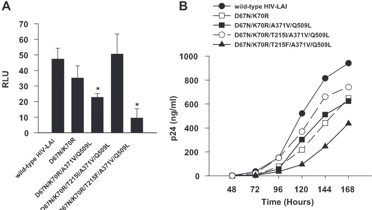FIG. 1. Single-cycle and multiple-cycle replication assays of recombinant HIVLAIcontrol (HIVreplication was measured in P4/R5 cells infected with 10 ng p24 in a 96-well plate