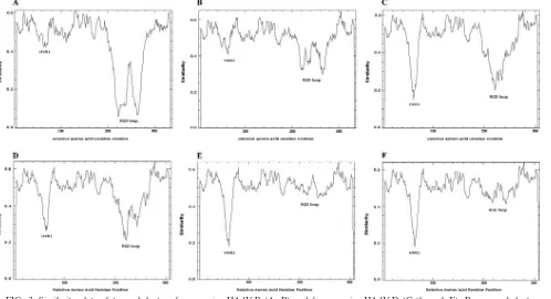 FIG. 3. Similarity plots of two subclusters from species HAdV-B (A, B) and from species HAdV-D (C through F)