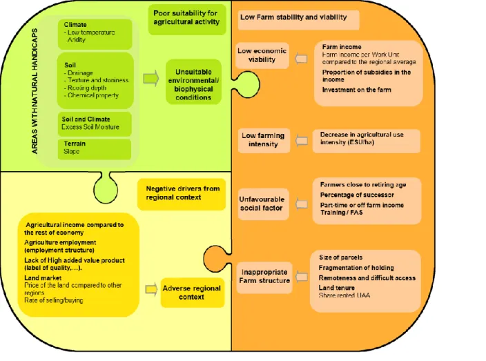 Figure 1:  Main determinants of farmland abandonment and inter-linkages
