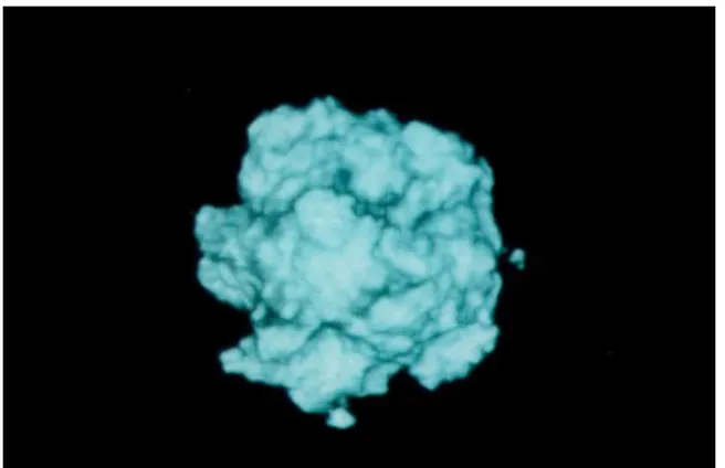 Figure 1: Fractal Sphere created with a noise function, image courtesy of Perlin [17]