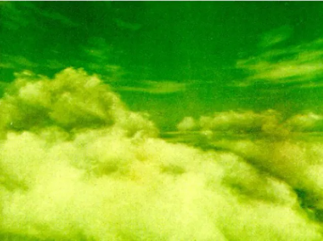 Figure 4: A cloudscape combining 2D- and 3D-clouds by Gardner, image courtesy of Gardner [7]