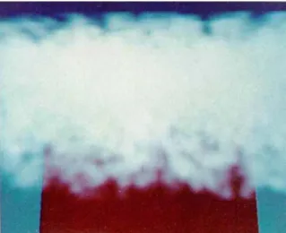 Figure 10: Image computed with Kajiya’s method, courtesy of Kajiya/von Herzen [12]