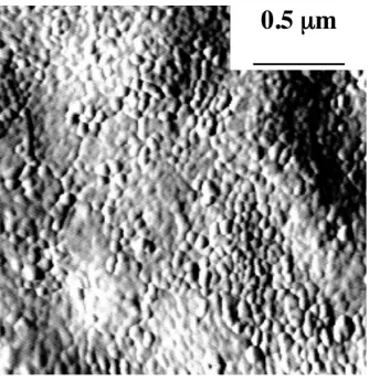 Fig. 3.3. Two micron by two micron atomic force microscopic topography image of BZTthin film on copper foil (The difference in the color on the surface is due to thesuperimpose roughness of copper foil).