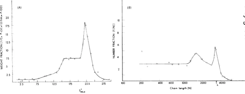 FIG. 5.tive (A) Distribution of the equilibrium contcentration ofdenatured RI. (B) Same as 5A, plotted as a cumula- distribution on probability paper.