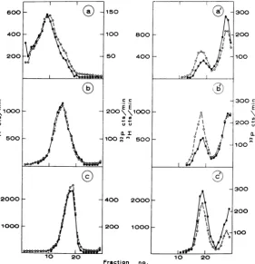 FIG. 2.figures,asrev/min),0, (a), Sedimentationt analysis of RI in which the parental RNA stranld is 32P-labeled
