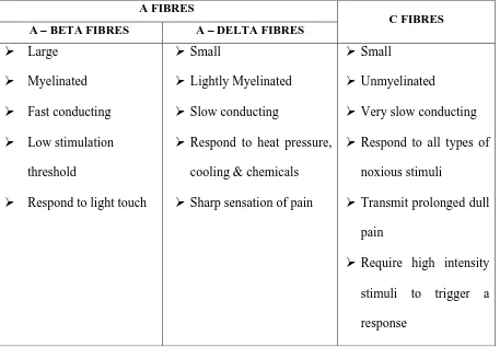 TABLE 1 : NERVE FIBRES IN PAIN TRANSMISSION 