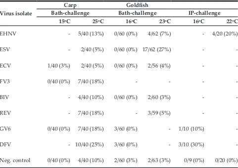 Table 2. Accumulated mortality in challenges with carp and goldﬁsh, number of dead ﬁsh / number of ﬁsh in tank
