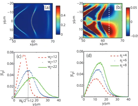 FIG. 3: (Color online). Snapshots of (a) electron density ne/nc and(b) transverse wake ﬁeld Ey,w/E0 taken when the ﬁrst wake waveperiod is approaching the density plateau region