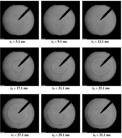 Figure 2: Shadowgraph images of a 2 bar,  = 1.4 iso-octane-air explosion flame. (Window diameter = 15.0 cm) 