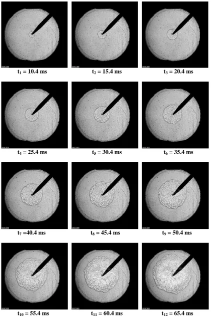 Figure 9: Shadowgraph images of a 2 bar,  = 1.8 iso-octane-air explosion flame 