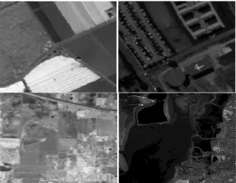 Fig. 2.  The 50th band of the three HSI datasets: Salinas (top left), Pavia (top right) Indian Pines (bottom left) and Moffett Field (bottom right) 