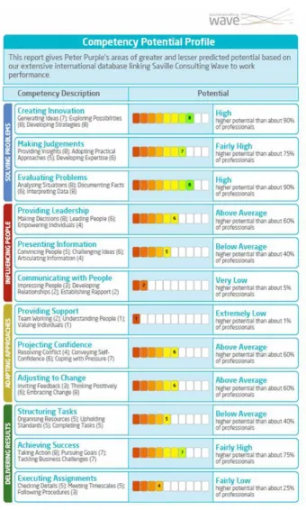 Figure 3: Peter Purple Competency Potential Profile  
