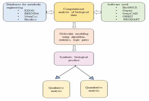 Figure 2. Computational methodologies used for designing of synthetic biological product and its analysis