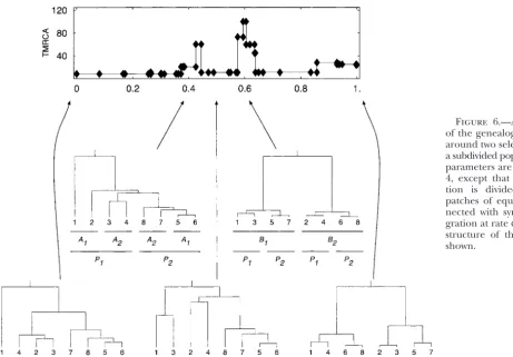 Figure 6.—An exampleof the genealogical pattern