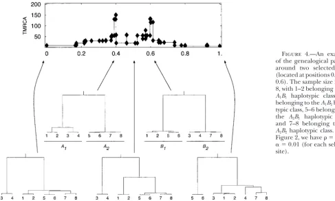 Figure 4.—An exampleof the genealogical pattern