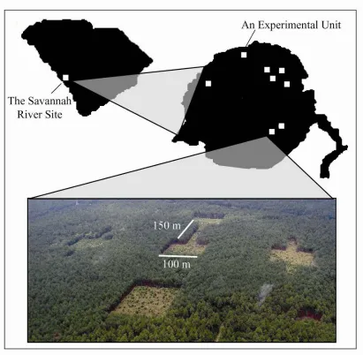 Figure 1.2.  Experimental landscape located at the Savannah River Site near Aiken, SC