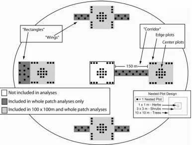 Figure 1.3.  Patch and plot design.  The center patch (shown in white) was never included in analyses, and both light and dark gray areas were included for whole patch analyses