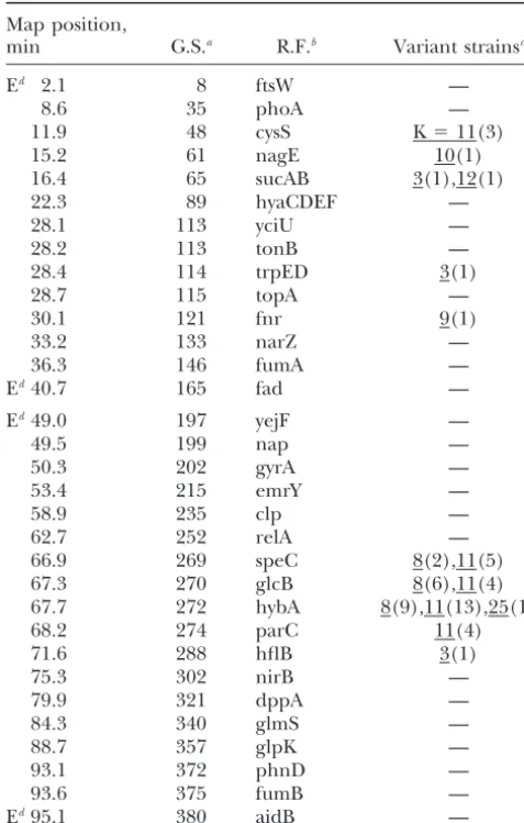 TABLE 1